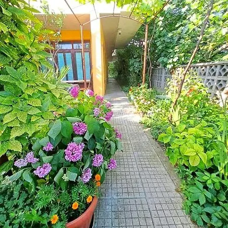 Family California Guest house 3*