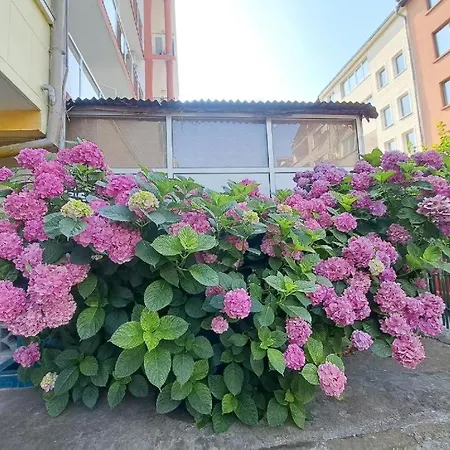 Guest house Family California 3*