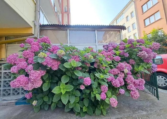 Guest house Family California 3*